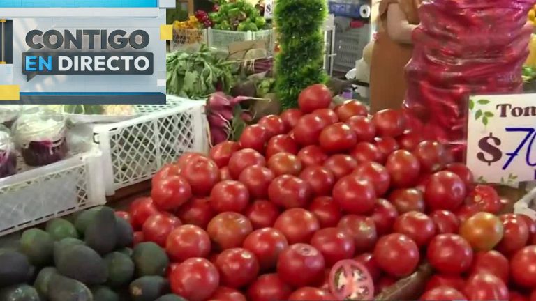 Baja el precio de los tomates y las papas: Conoce los productos más baratos para cuidar el bolsillo