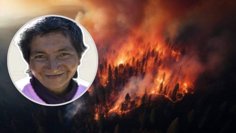 “Injustamente señalada”: Vecinos de Los Sauces defienden a mujer detenida como autora de fatal incendio