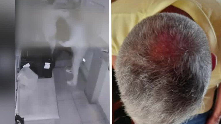 VIDEO | Conserje fue brutalmente agredido por propietario de edificio en Reñaca