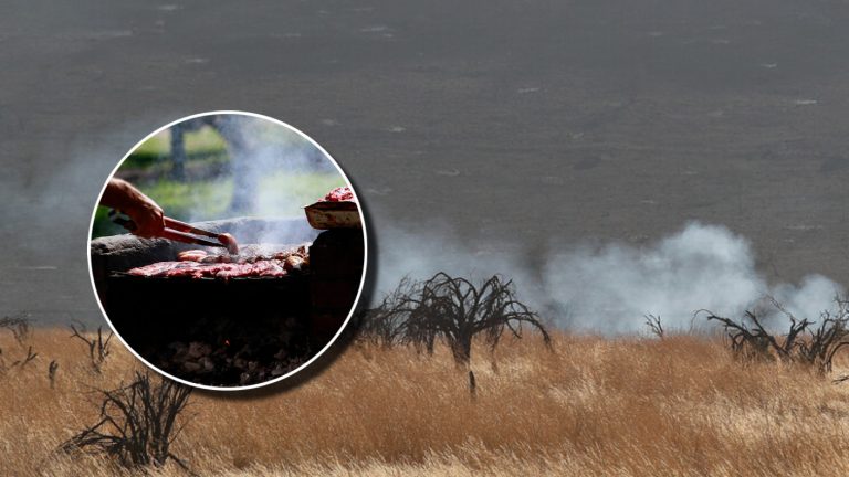 El proyecto para prohibir asados en días con altas temperaturas que evalúa el gobierno