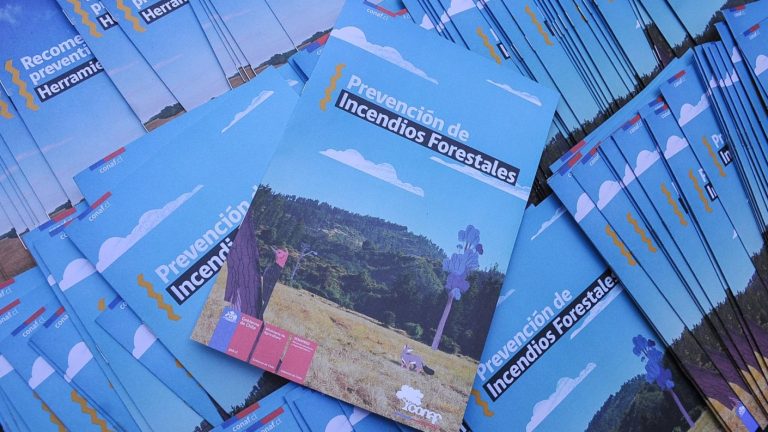 Emiten Alerta Preventiva por calor e incendios forestales en la región Metropolitana