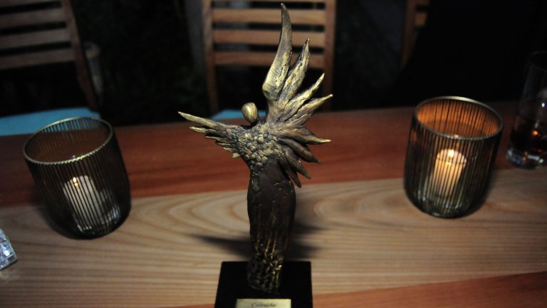 Premios Caleuche 2025: Conoce las categorías y los artistas nominados