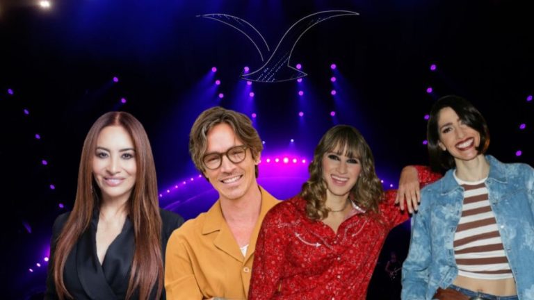 Aún quedan entradas: Sorpresa por los días menos vendidos para el Festival de Viña 2025