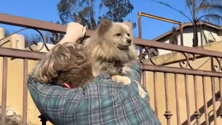 Esperanza entre la tragedia: Conmovedor reencuentro de hombre y su perrito en California