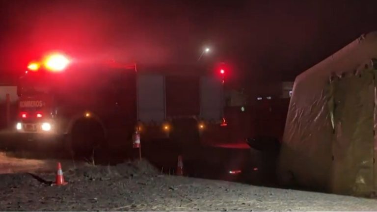 Conmoción en Los Sauces por muerte de 3 brigadistas de la CMPC que combatían incendio forestal