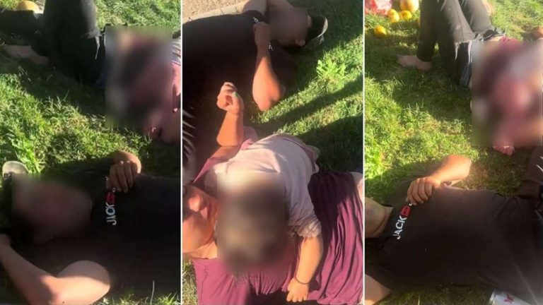 Indignante: Viralizan a pareja en estado de ebriedad durmiendo con guagua a pleno sol en Puente Alto