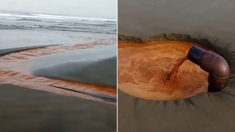 Anuncian investigación por vertimiento de extraño líquido en Playa Las Ventanas de Puchuncaví