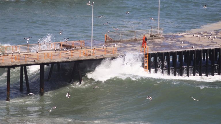 Alerta de marejadas entre el 23 y 25 de enero: Revisa qué regiones se verán afectadas