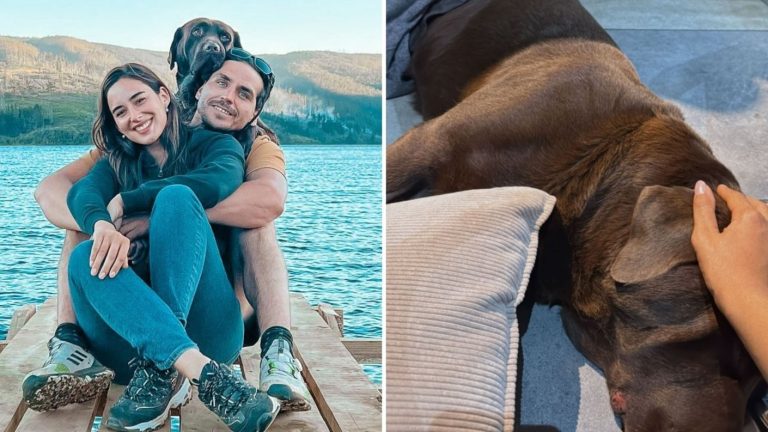 VIDEO | “Esperamos resultados”: Perro de Pangal Andrade y Melina Noto fue sometido a compleja operación