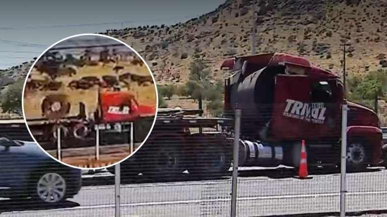 VIDEO | Camión terminó con rollo de acero de 27 toneladas incrustado en la cabina: Chofer sobrevivió