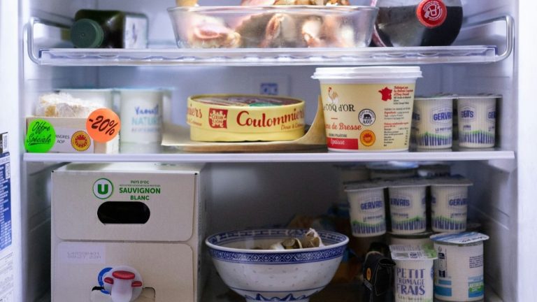 ¿Cuánto dura la comida en verano? 5 consejos para cuidar alimentos de las altas temperaturas