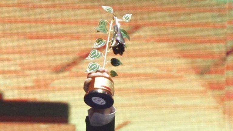 Copihue de Oro 2025: ¿Cómo y dónde votar?