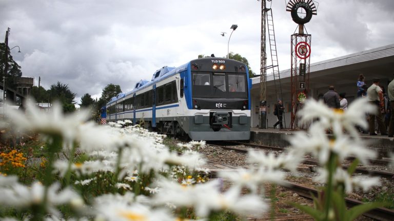 ¿Cuánto costará?: Tren Llanquihue-Puerto Montt vuelve a funcionar tras 18 años