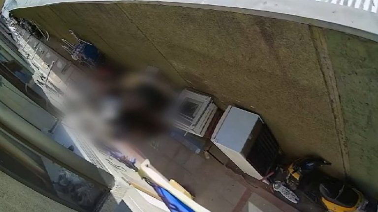 Minutos de terror: Video clave muestra ataque de pitbull a niño en Conchalí