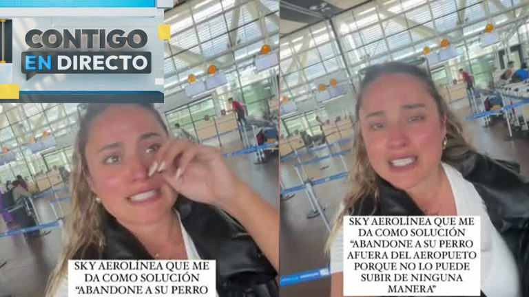 Aerolínea entregó insólita respuesta: El angustioso descargo de pasajera por no viajar con su perro