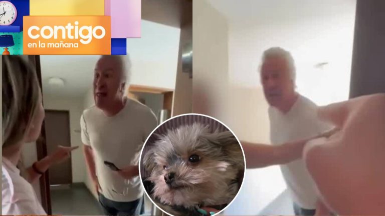 “Los voy a...”: Mujer denuncia que vecino amenazó con matar a sus perros en violenta discusión