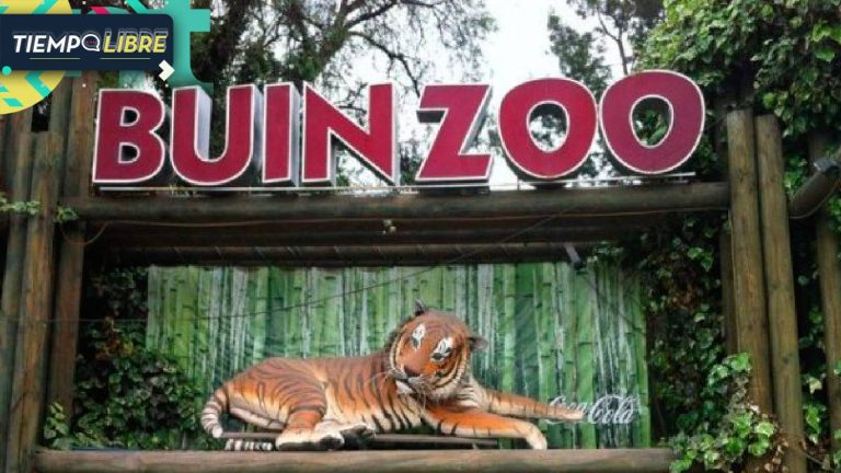 ¡Panoramas para tu cumpleaños! Estos lugares te regalan cosas GRATIS en tu día