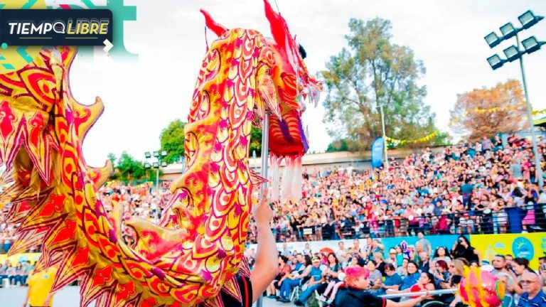 ¡De música en vivo a festival de la cerveza! Panoramas GRATIS para este sábado 8 y domingo 9 de febrero