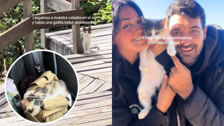 Pareja fue de vacaciones y volvió con un nuevo integrante: Gatito se hace viral tras ser adoptado en la Patagonia