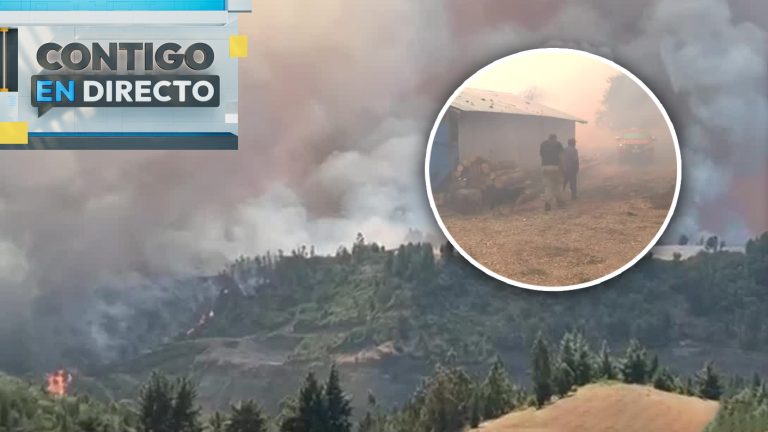 VIDEO | Equipo de Contigo en Directo registró rápido avance del fuego en Galvarino