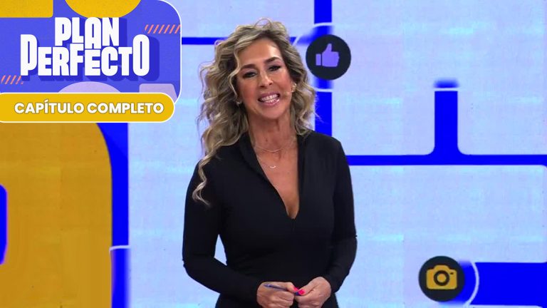 Plan Perfecto | Capítulo 29