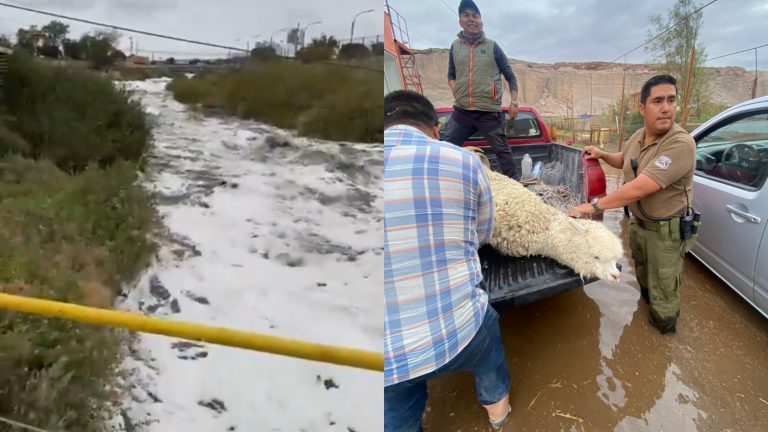Por segundo día consecutivo: Senapred pide evacuar sector Yalquincha en Calama por desborde del río Loa