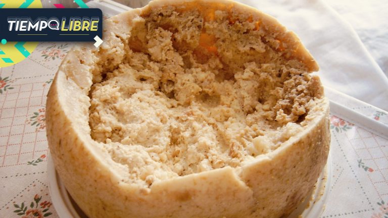 ¡Un plato prohibido! Descubre cómo está compuesto el queso más peligroso del mundo