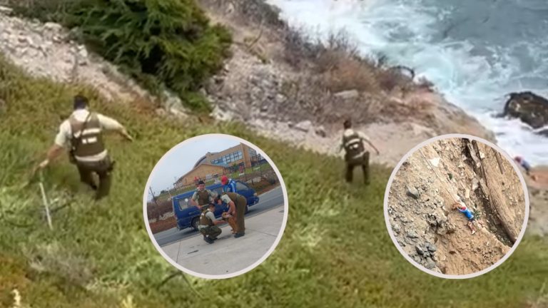 Mascota y su dueño cayeron por acantilado en Valparaíso: Obligó a despliegue de Carabineros