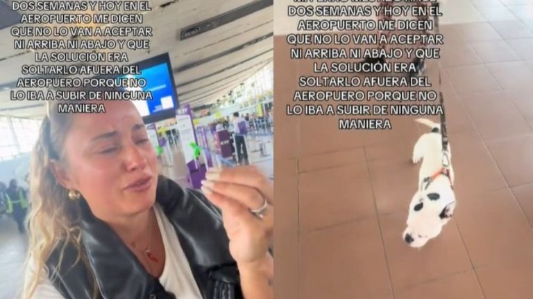 Usuaria de TikTok indignada por no poder subir al avión con su perro: Esto respondió la aerolínea
