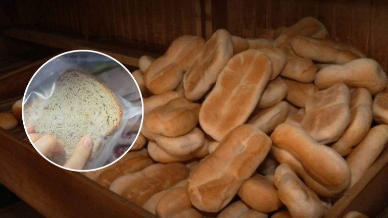 ¿Alguna vez has congelado el pan?: Estos son los beneficios que trae para tu bolsillo y salud