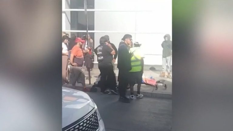 VIDEO | Desarticulan parte 