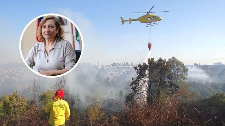 Conaf confirma intencionalidad en incendios forestales que afectan a La Araucanía