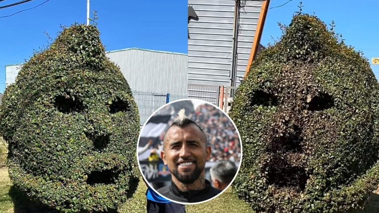 Duró solamente un par de horas: Arbusto con rostro de Arturo Vidal fue quemado por desconocidos