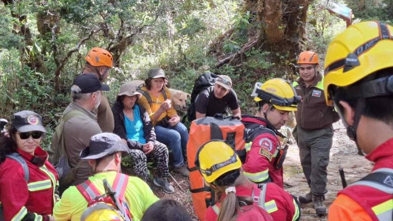 Encuentran con vida a adultos mayores y guía turístico desaparecidos en Parque Nacional Alerce Costero