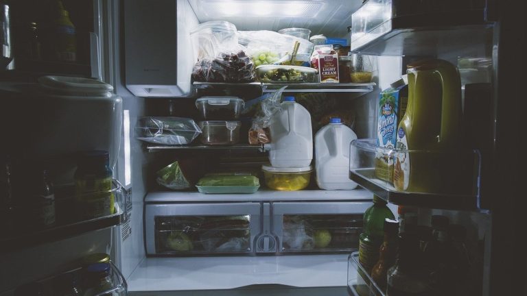 Apagón de luz en Chile: ¿Qué productos desechar y cuáles mantener en el refrigerador?