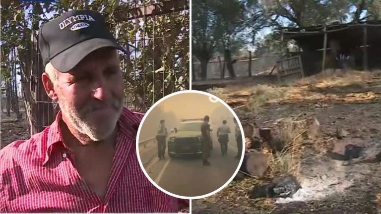 “Todos se me perdieron, murieron”: Devastador testimonio de afectado por incendio forestal en Chillán