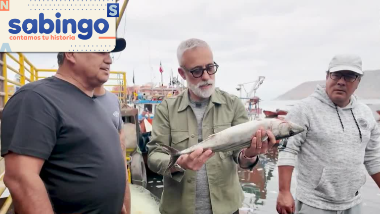 Picadas con Historia: Sergi Arola visitó Iquique para conocer “Caleta Buena”