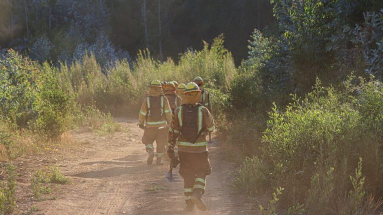 Detuvieron a 2 bomberos como sospechosos por incendios de 2025