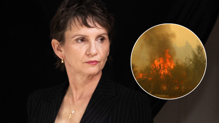 Ministra Tohá confirmó el fallecimiento de adulta mayor en incendio forestal