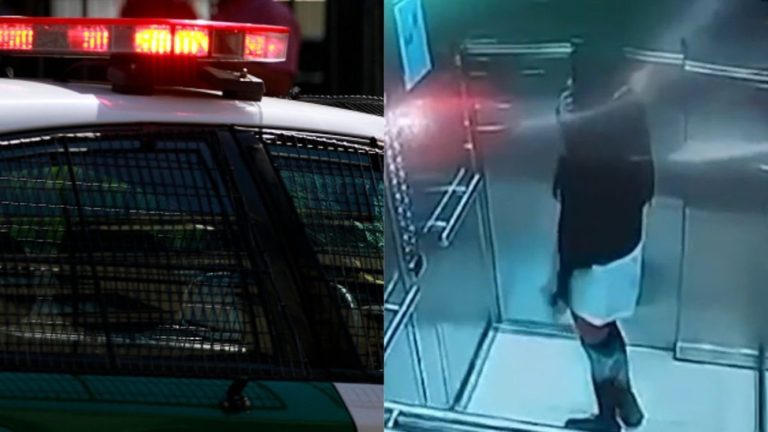 Encuentran con vida a niña de 13 años desaparecida desde el 14 de febrero en Estación Central