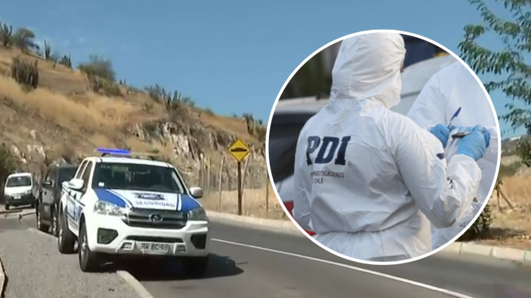 “No puedo creerlo”: El desgarrador dato del hijo de ciudadano francés que murió apuñalado en Chicureo