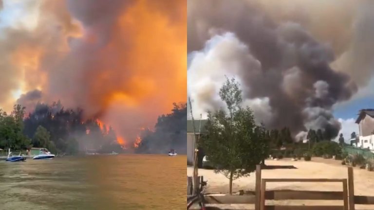 Declaran Alerta Roja por incendio forestal en Litueche: Hay 7 viviendas destruidas por el fuego