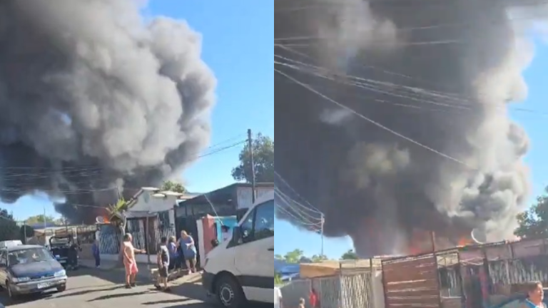 VIDEO | Voraz incendio afecta a La Granja y genera gran columna de humo