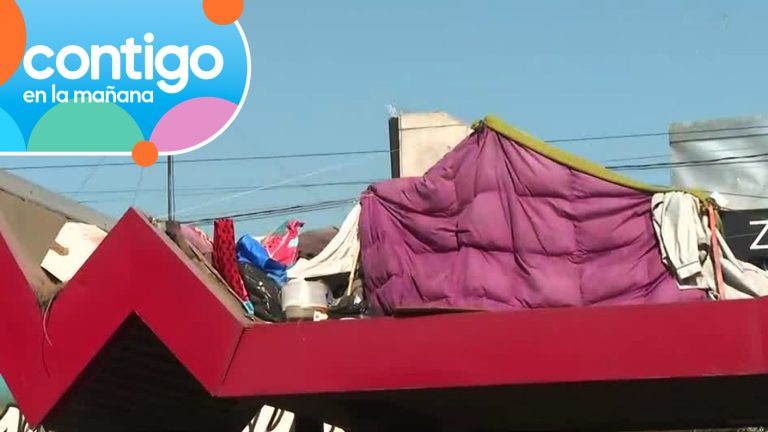 ¡INSÓLITO! Instalaron ruco en el techo de un paradero de micros en Recoleta