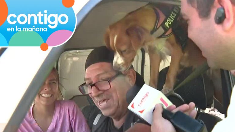 Fiscalizado por tierno: Perrito fue protagonista de móvil de matinal por llamativo gesto