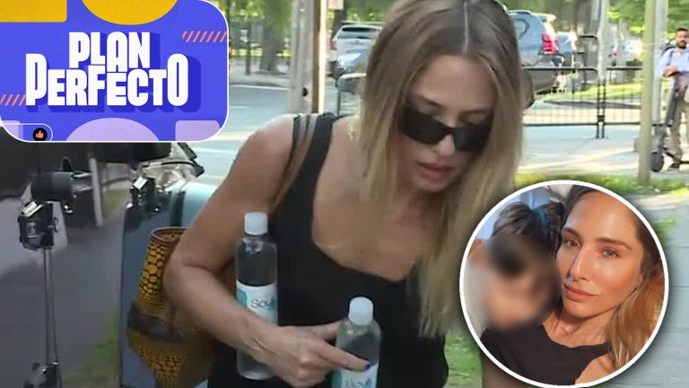 ¿Cuáles son las opciones de Mane Swett para recuperar la custodia de su hijo?