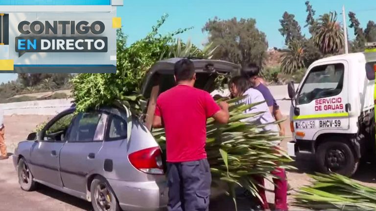 Todo se marchitó: Auto que se dirigía a la Pérgola de las Flores no contaba con documentación