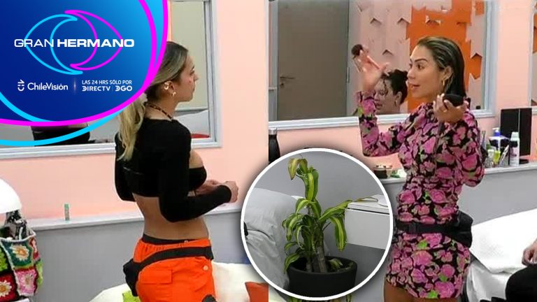 ¡La planta de la discordia! Así fue la primera gran polémica entre “La Chama” y Carlyn Romero en GH