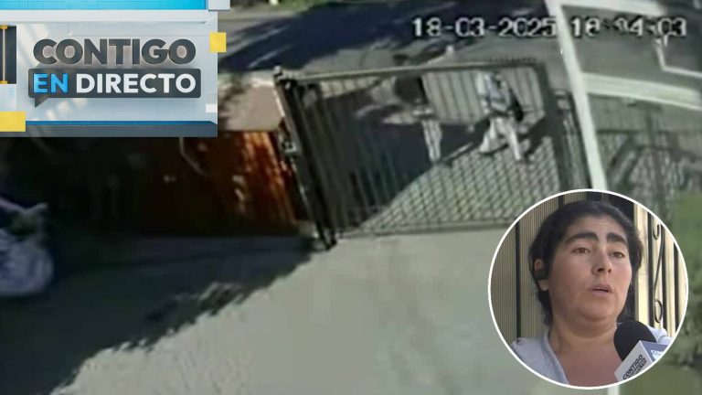 “Destruyó a sus hijas”: Desgarrador relato de familia de trabajador asesinado por piedrazo en Peñalolén