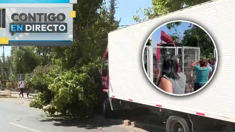 Camión chocó contra colegio en Maipú: Conductor habría sufrido ataque epiléptico